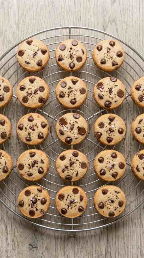 chocolate-chip-shortbread-cookies-creamed-butter
