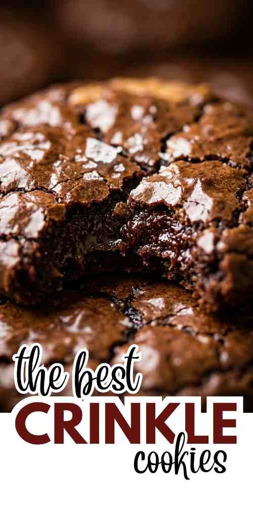 crinkle-cookies-recipes-brownie-crinkle-cookies