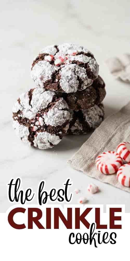 crinkle-cookies-recipes-chocolate-crinkle-cookies