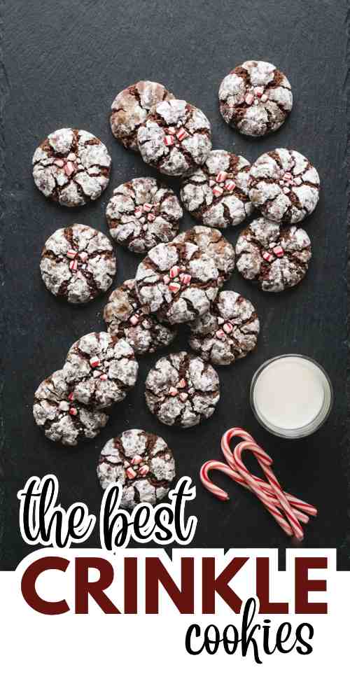 crinkle-cookies-recipes-chocolate-peppermint-crinkle-cookies