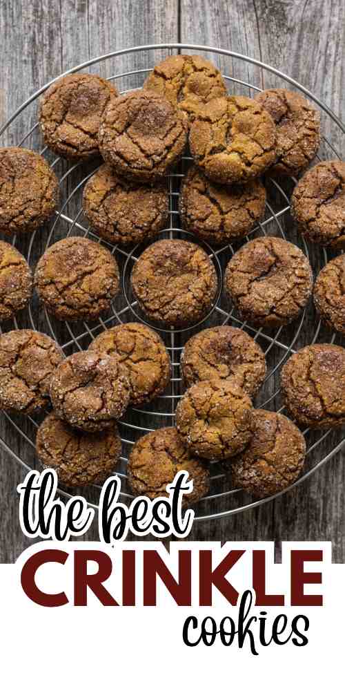 crinkle-cookies-recipes-molasses-crinkle-cookies