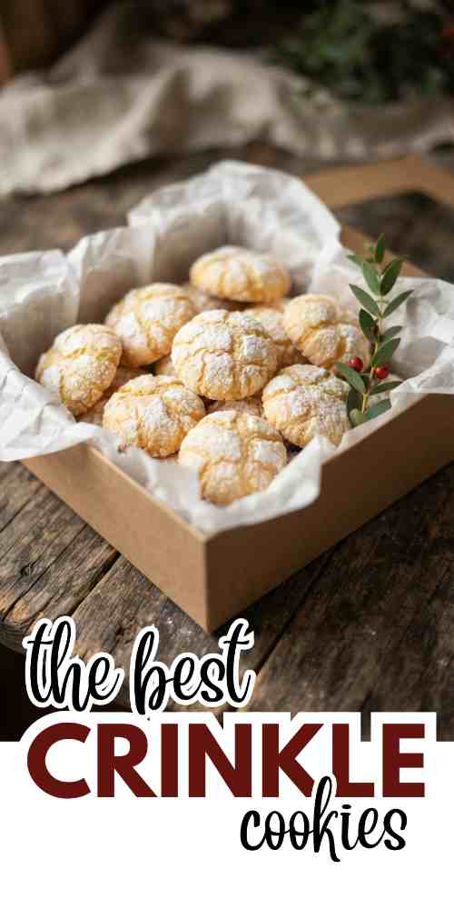 crinkle-cookies-recipes-orange-crinkle-cookies