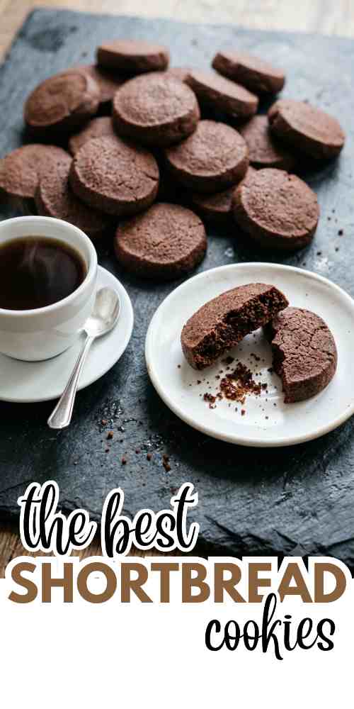 holiday-shortbread-cookies-chocolate-shortbread