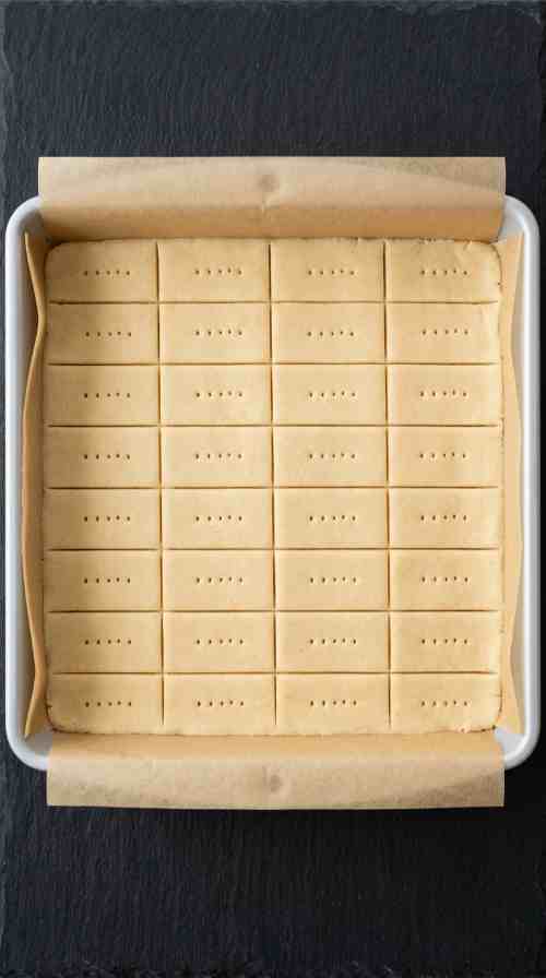 scottish-shortbread-cookies-scored-dough